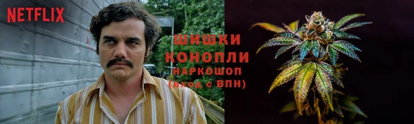 гашик Алзамай