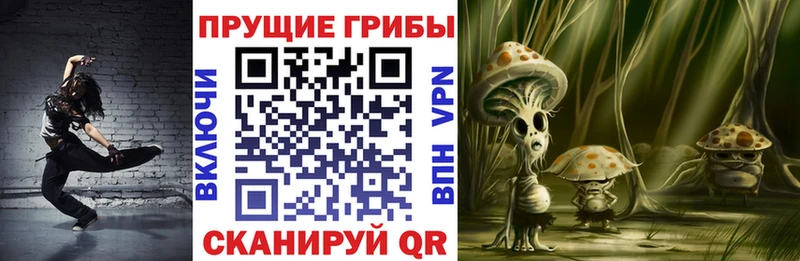 Псилоцибиновые грибы Psilocybine cubensis  купить наркоту  Беломорск 